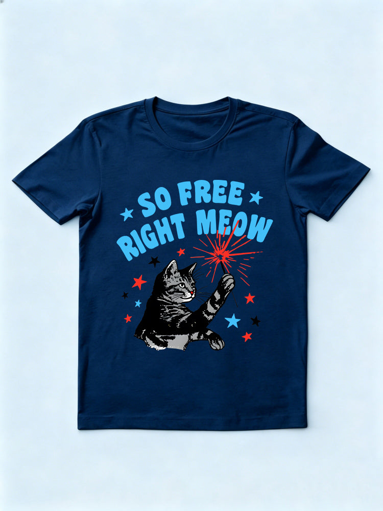 So Free Right Meow 4th of July Gift Shirt