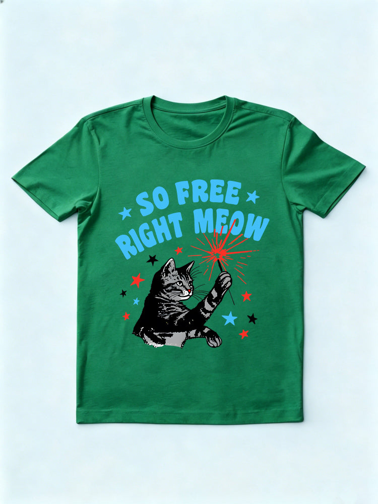 So Free Right Meow 4th of July Gift Shirt