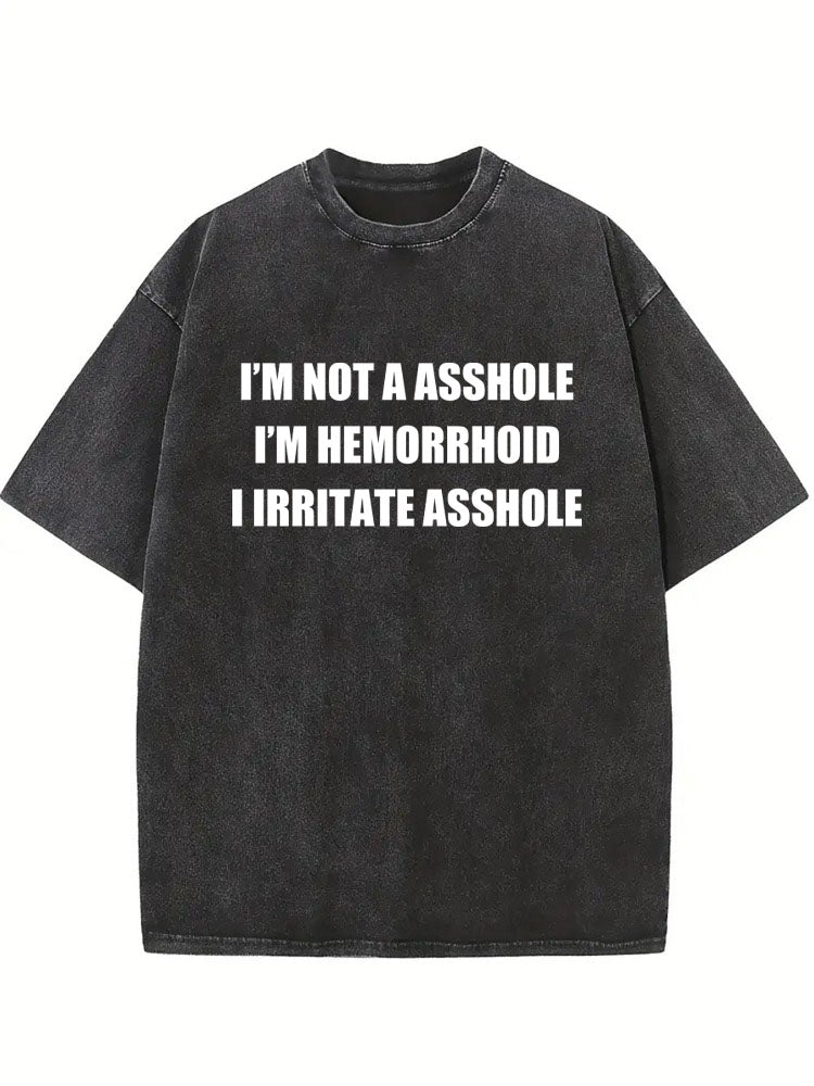 I Irritate Asshole Washed T-shirt