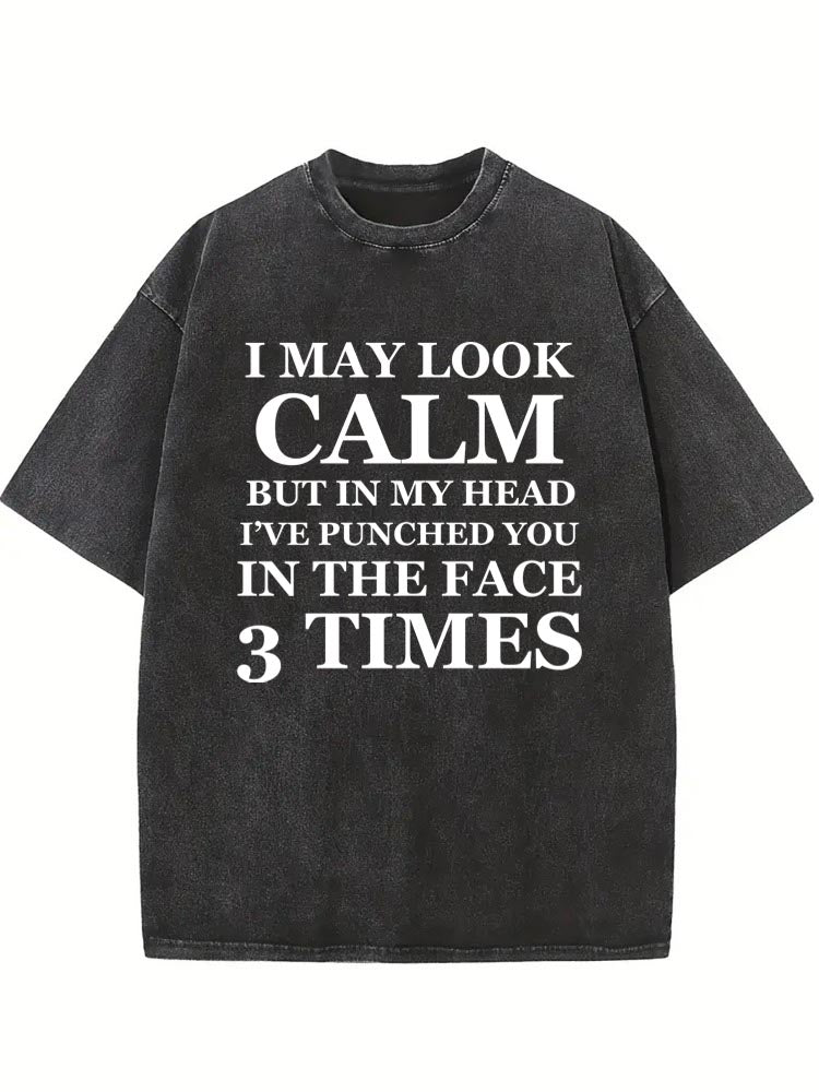 In My Head You Are Punched In Face 3 Times Washed T-shirt
