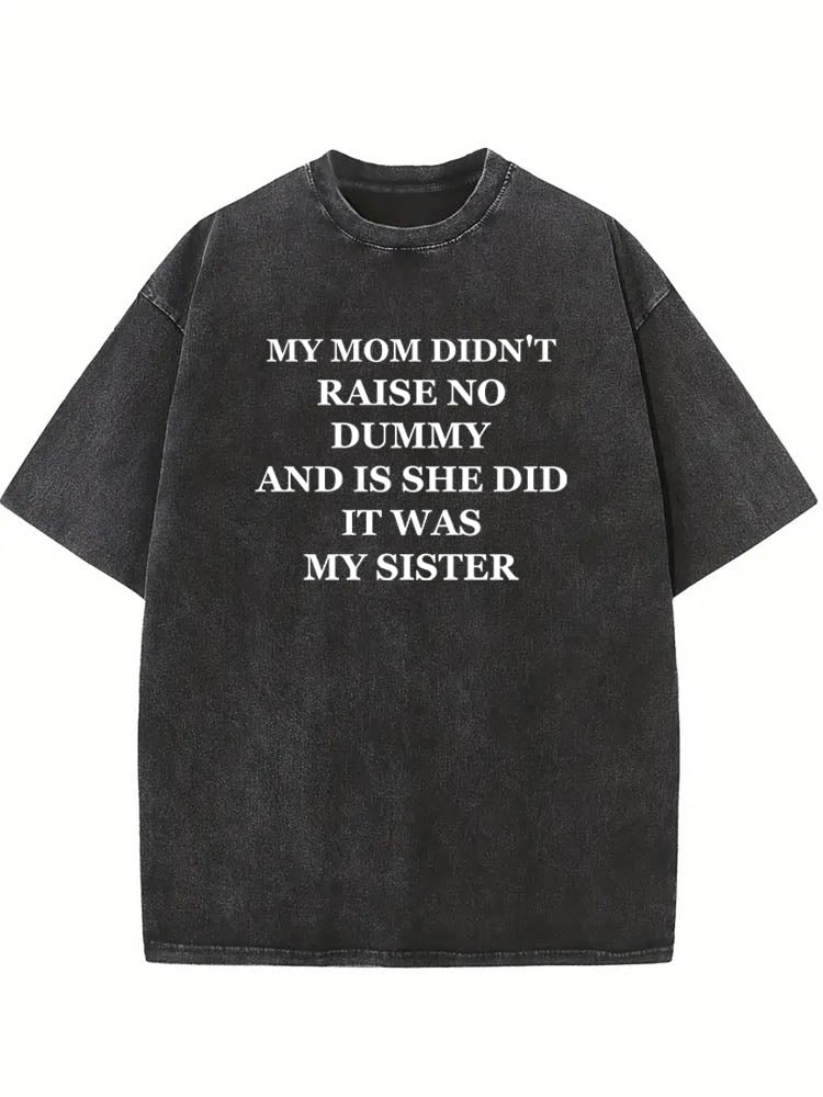 It Was My Brother Sister Christmas Season Vibe Washed T-shirt