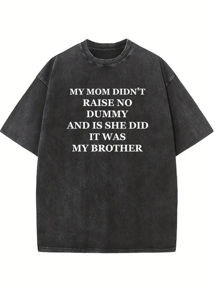 It Was My Brother Sister Christmas Season Vibe Washed T-shirt