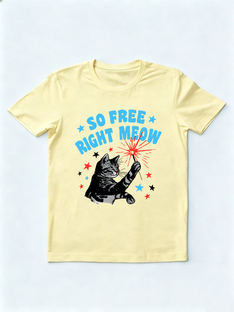 So Free Right Meow 4th of July Gift Shirt