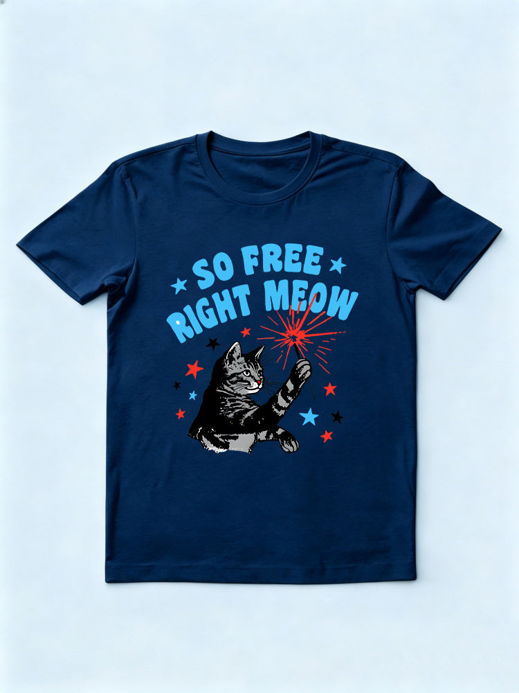 So Free Right Meow 4th of July Gift Shirt