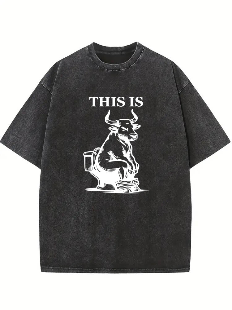 This Is Bullshit Halloween Spooky Season Vibe Washed T-shirt