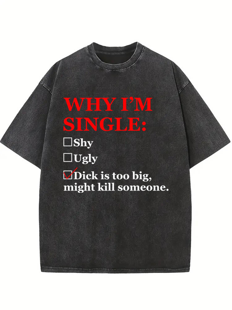 Why I'm Single Washed T-shirt