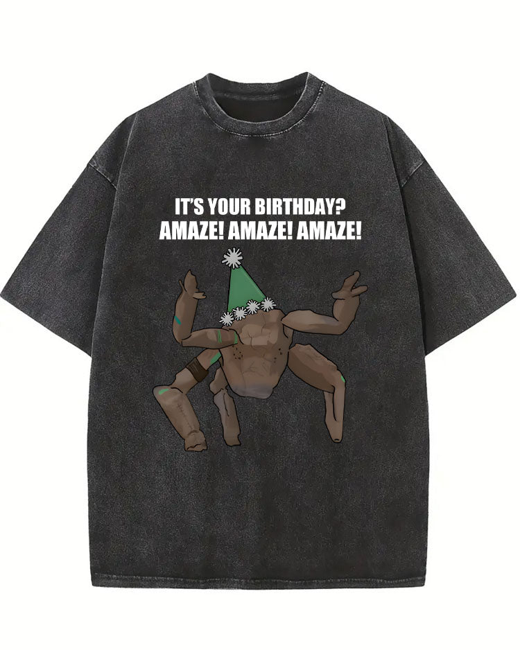 You Birthday Amazing Birthday Gift Washed T-shirt