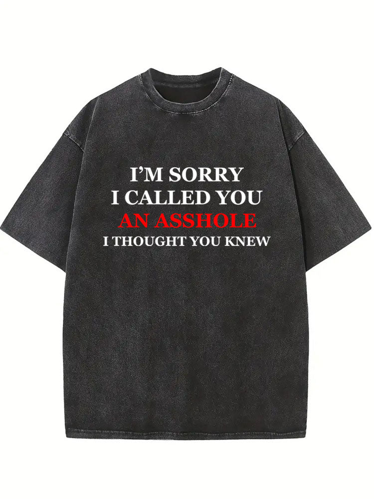 You Knew I Called You An Asshole Sorry Washed T-shirt